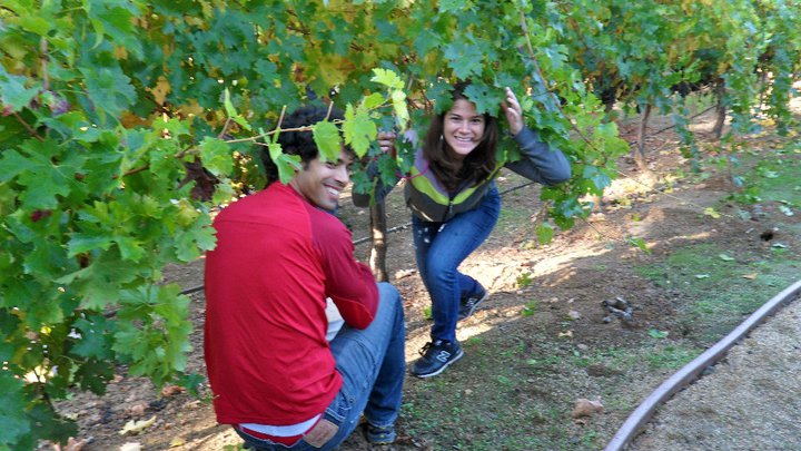 148567_451869339326_6218476_n